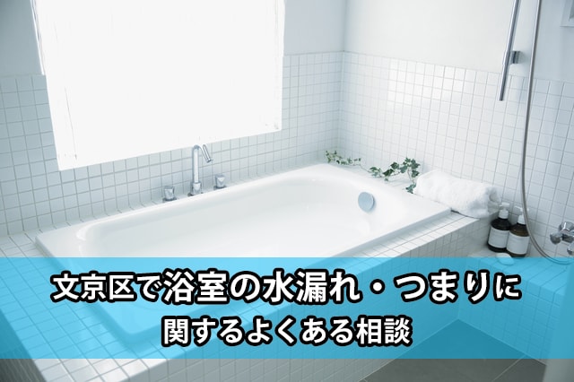 文京区の浴室の水漏れ・つまり