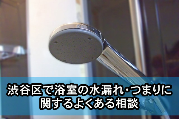 渋谷区で浴室の水漏れ・つまりに関するよくある相談