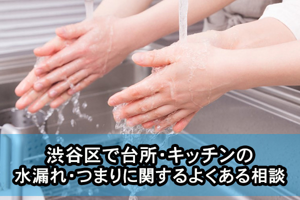 渋谷区で台所・キッチンの水漏れ・つまりに関するよくある相談