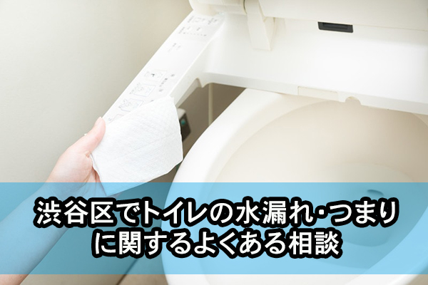 渋谷区でトイレの水漏れ・つまりに関するよくある相談