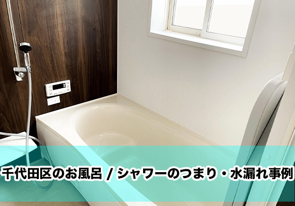 千代田区のお風呂/シャワーのつまり・水漏れ事例